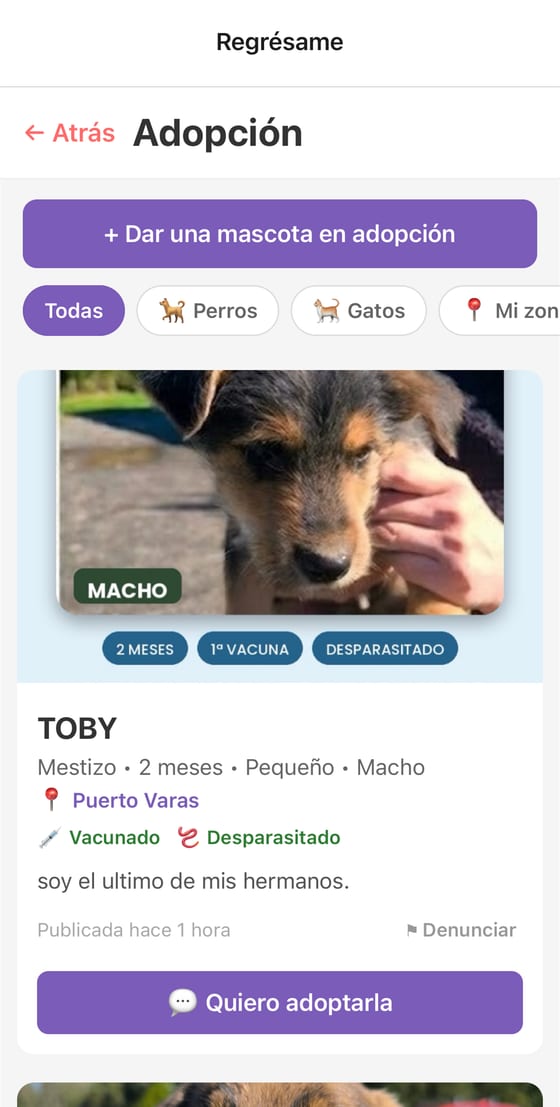 Publicación de adopción de un cachorro con su estado sanitario