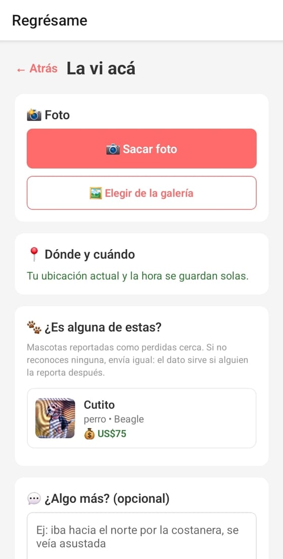 Pantalla para avisar que viste una mascota, con foto y ubicación
