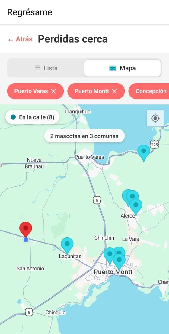 Mapa con las mascotas perdidas y los animales de la calle cerca