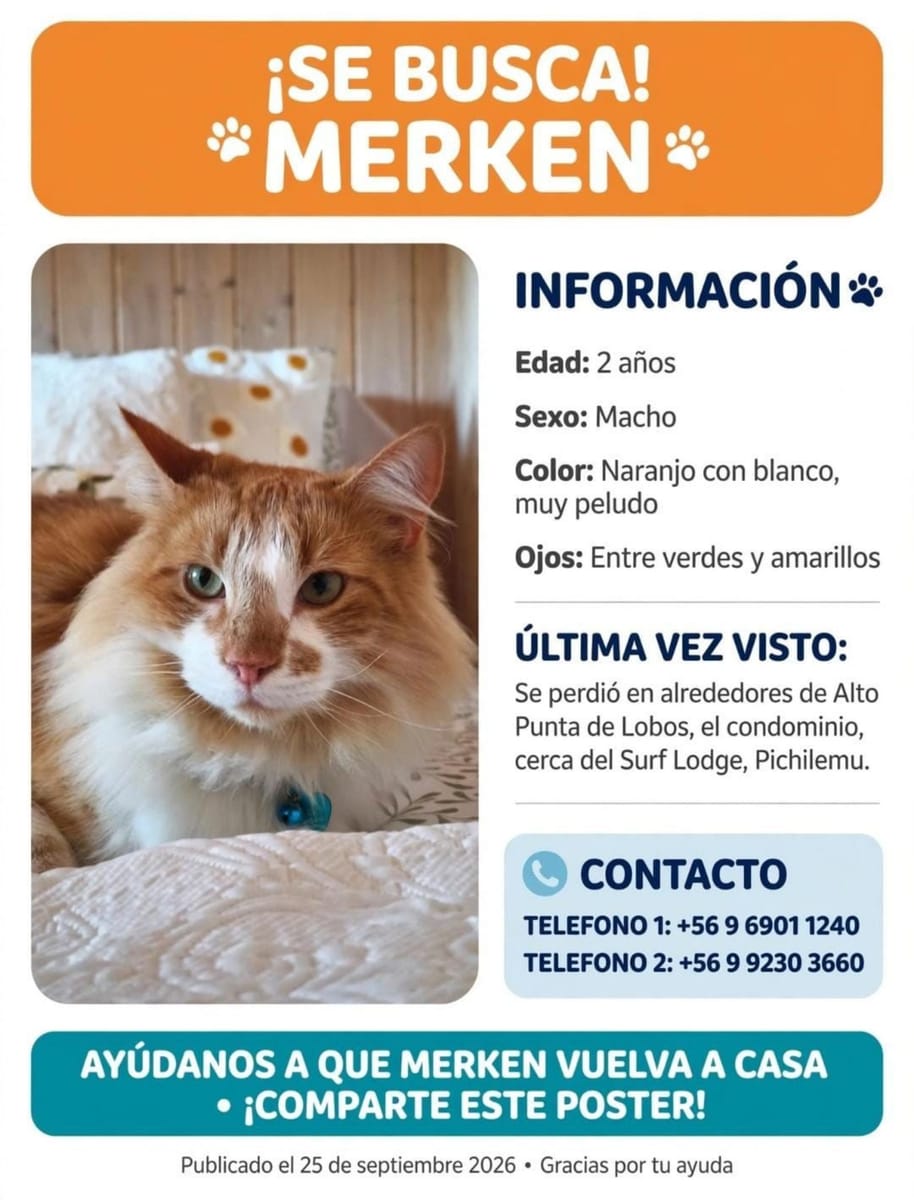 Merken